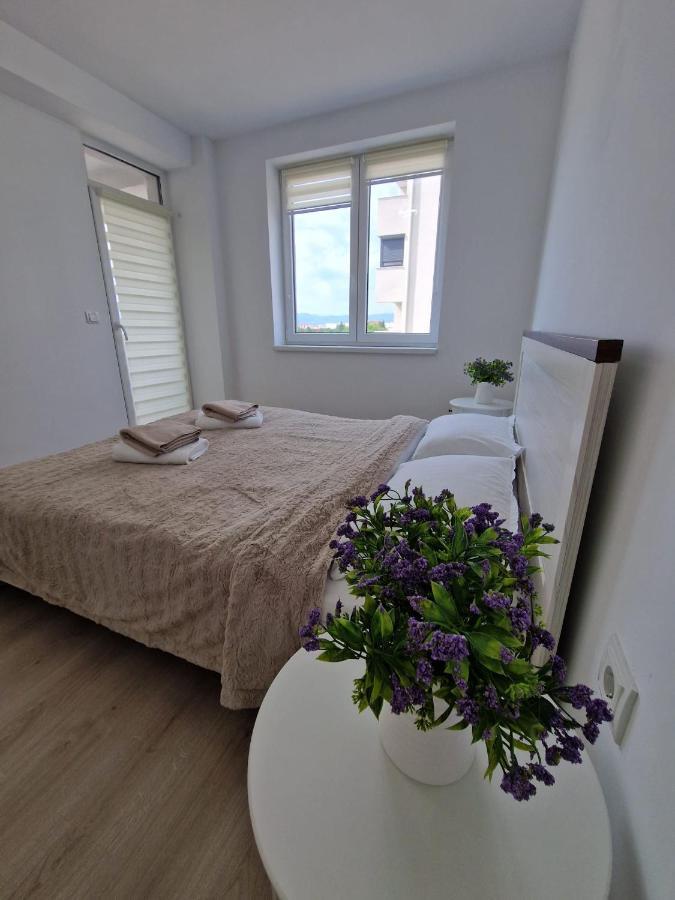 San Casa Apartment Szászsebes Kültér fotó
